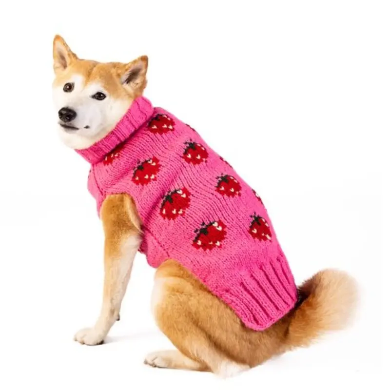 Pink Strawberry Sweater