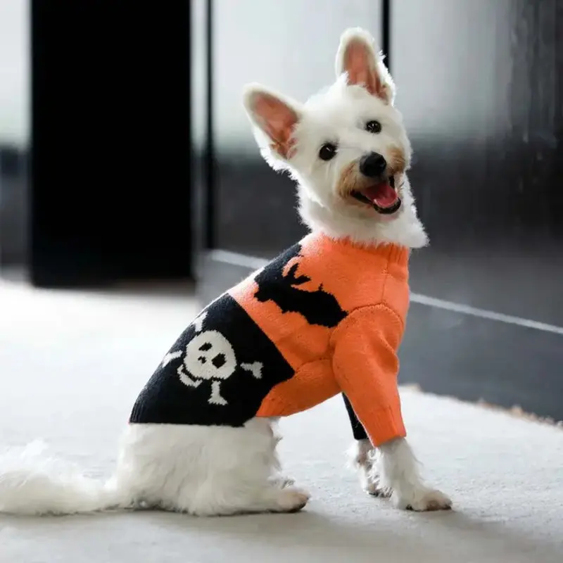 Spooky Halloween Dog Sweater