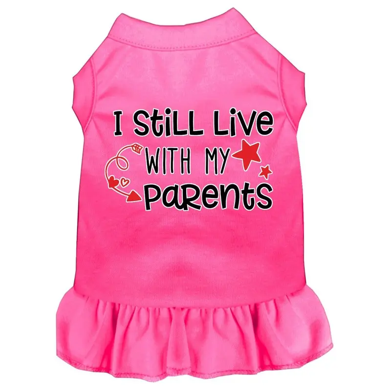 Still Live with my Parents Screen Print Dog Dress in Hot Pink