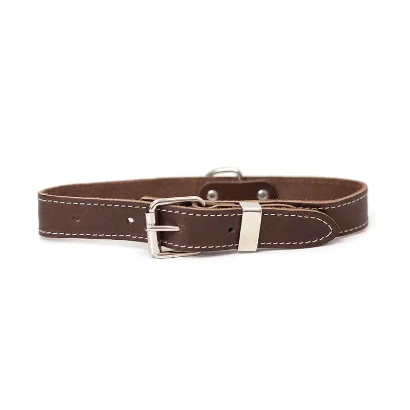 Chocolate Traditional Buckle Leather Collar