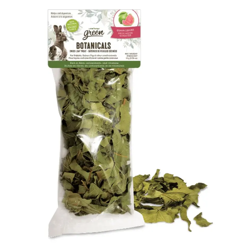 Living World Green Botanicals Dried Guava Leaves Treat