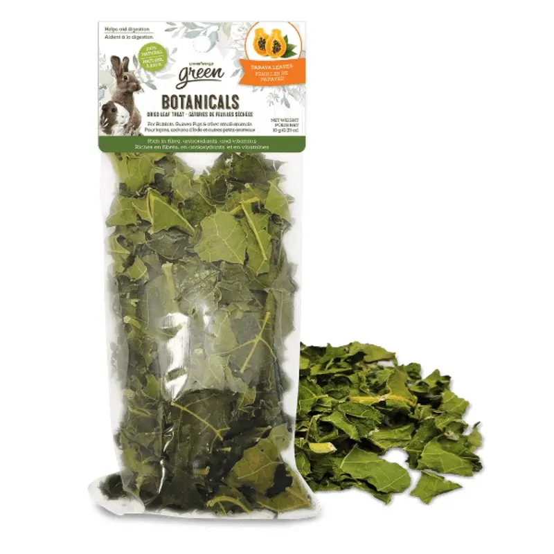 Living World Green Botanicals Dried Papaya Leaves Treat