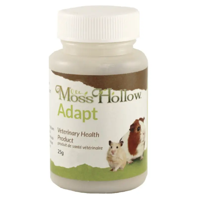 Moss Hollow Adapt