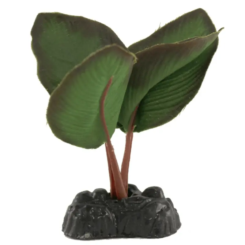 Fish Gear Anubias Silk Betta Plant (4")