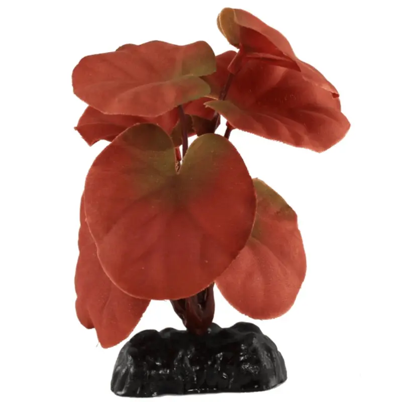 Fish Gear Red Cardamine Silk Betta Plant (4")