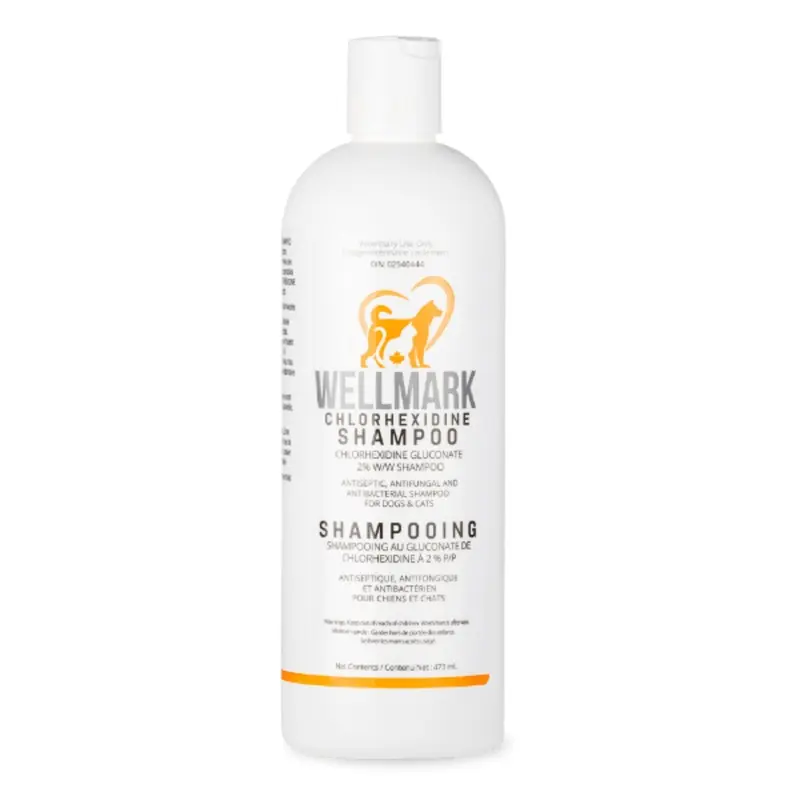 Wellmark Chlorhexidine Shampoo for Dogs & Cats