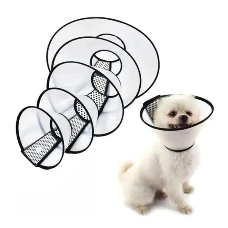 Pawise Recovery E-Collar