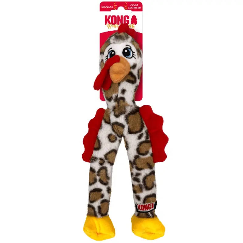 KONG Wishbone Dog Toy