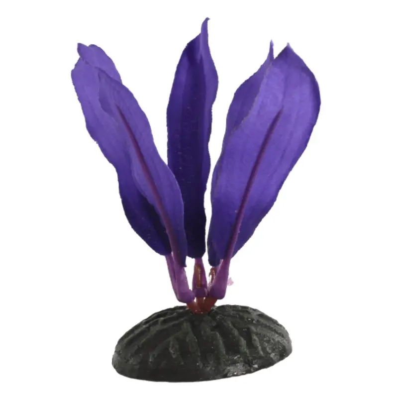 Fish Gear Purple Dwarf Sword Silk Betta Plant (4")