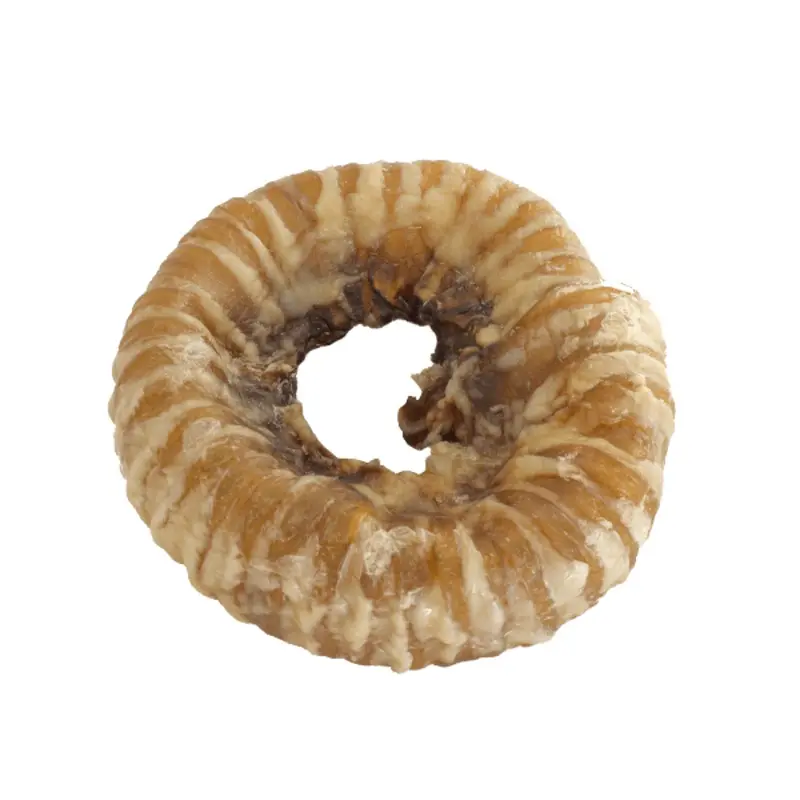 Golden Bridge Trachea Ring