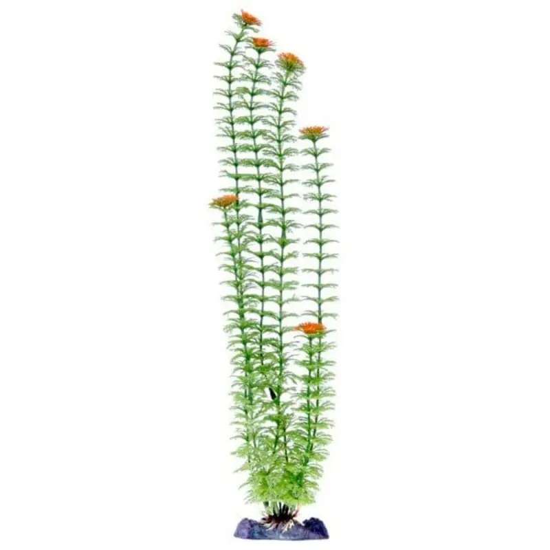 Sinker Plant Ambulia Green Super