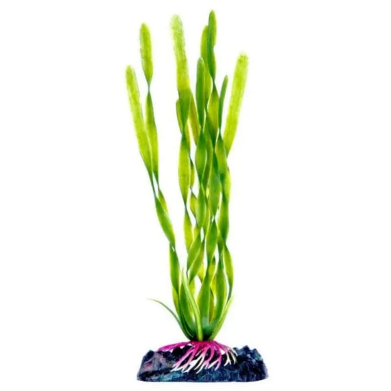 Sinker Plant Corkscrew Val Small
