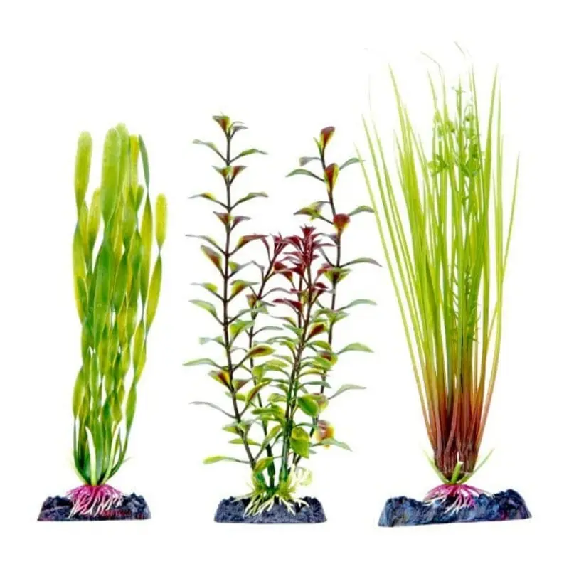 Sinker Plant Green Multipack (1) Lge (2) Med