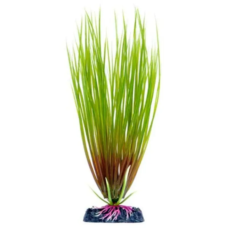 Sinker Plant Hair Grass Small