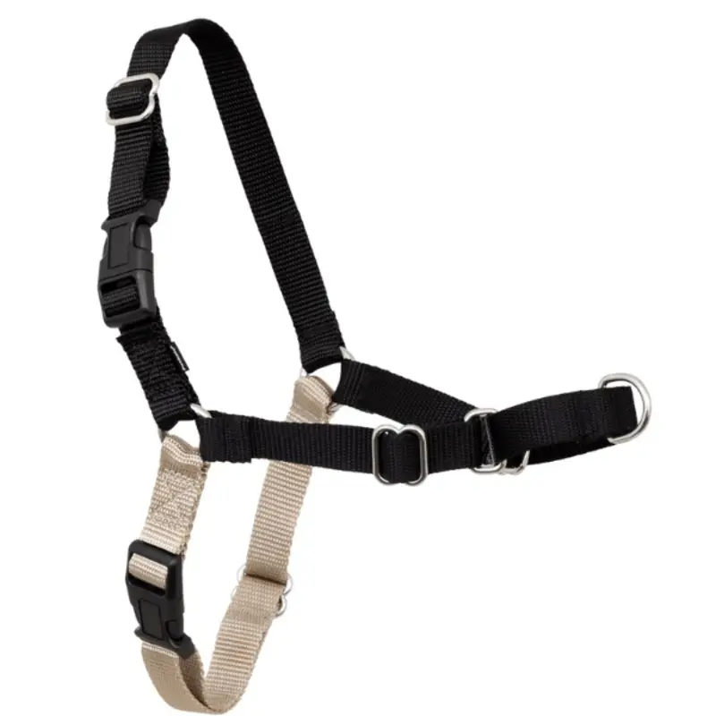 PetSafe Easy Walk Harness with Lead