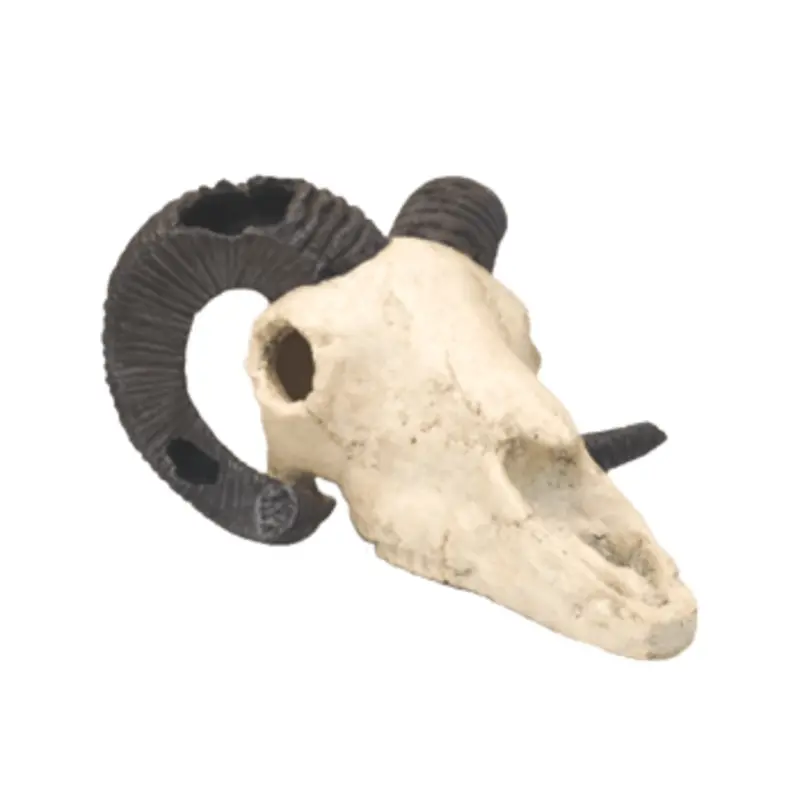 Fish Gear Rams Skull Aquarium Ornament