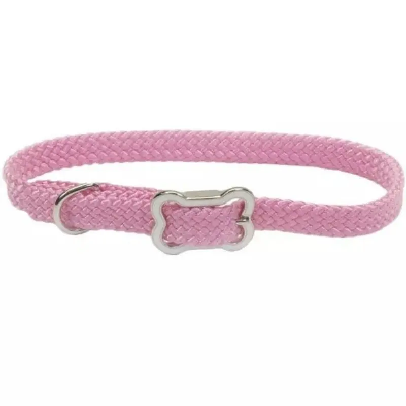 Coastal Sunburst Dog Collar with Bone Buckle