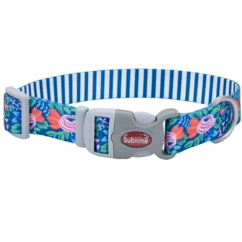 Sublime Adjustable Dog Collar