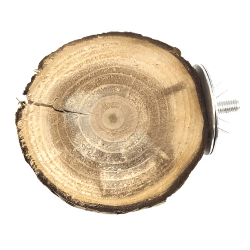 Moss Hollow Trunk Perch