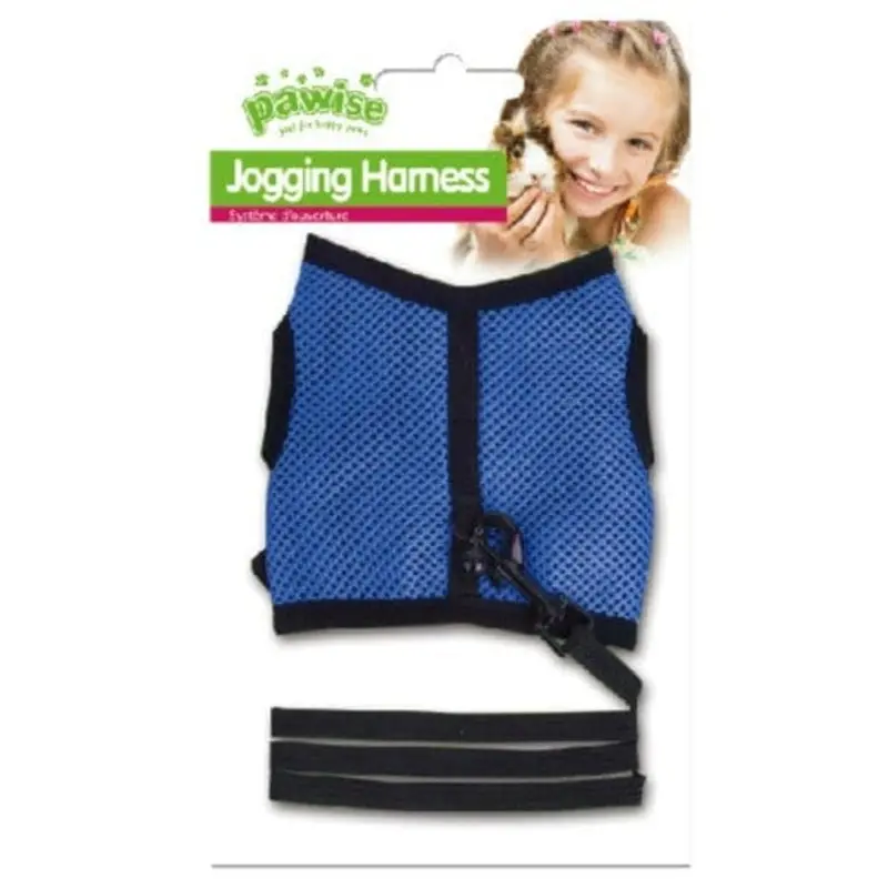 Pawise Small Animal Harness and Lead Set