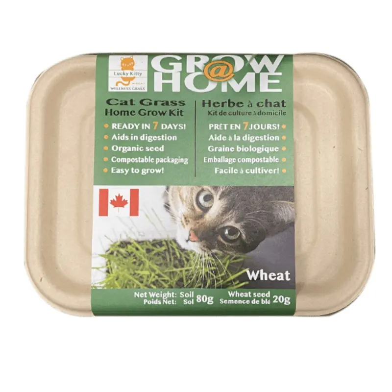 Lucky Kitty Grow @ Home Cat Grass Home Grow Kit; Wheat