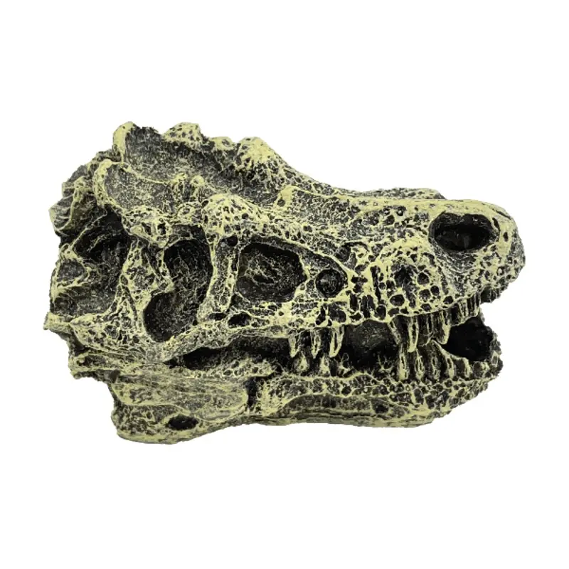 Fish Gear Dino Skull Betta Ornament