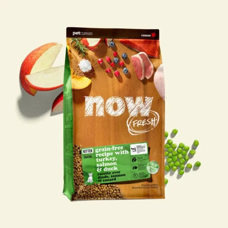 Now Fresh Turkey, Salmon & Duck Recipe Dry Kitten Food, 8lb