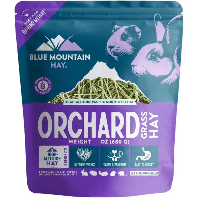 Blue Mountain Hay High-Altitude Orchard Grass Hay