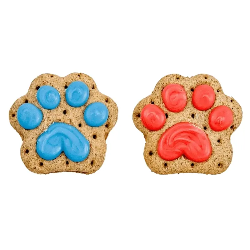 Bosco and Roxy's Birthday | Let the Paw-nanigans Begin!