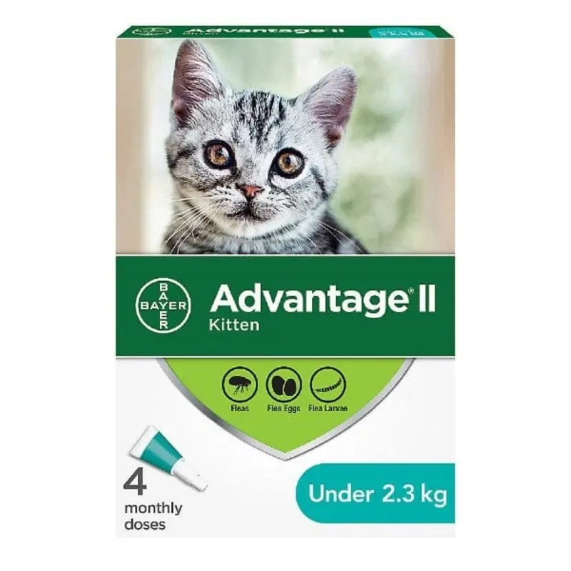 Advantage II For Cats