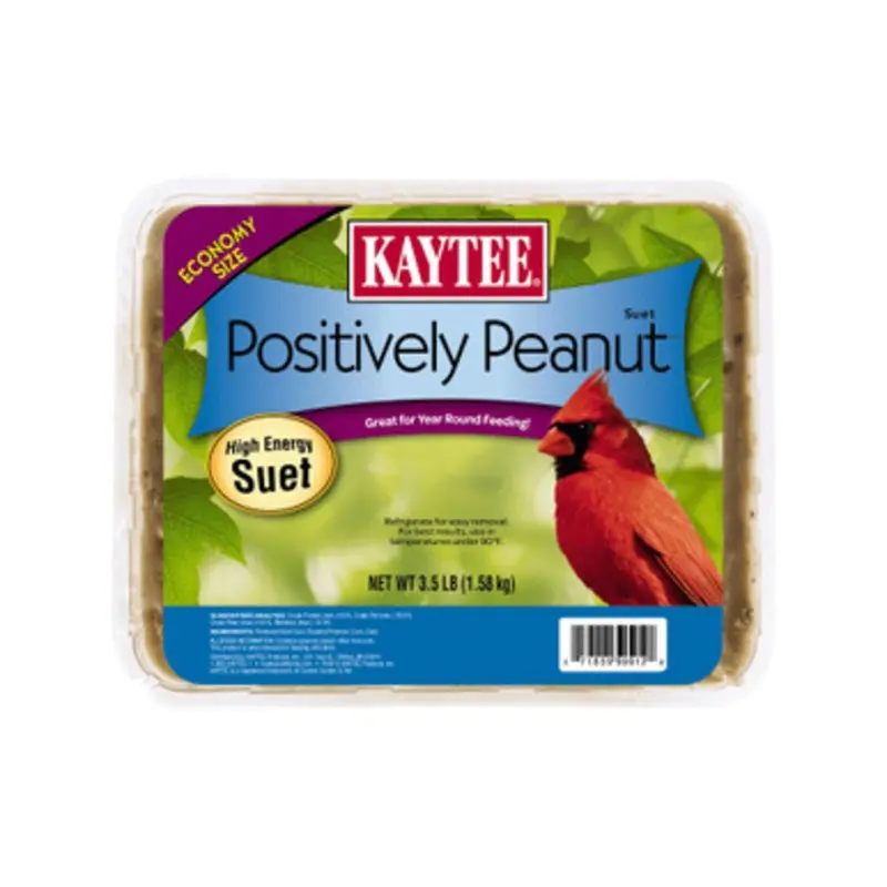Kaytee Positively Peanut Suet Wild Bird Food 11 oz