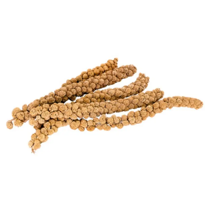 Living World Spray Millet Bird Treat 5 lb