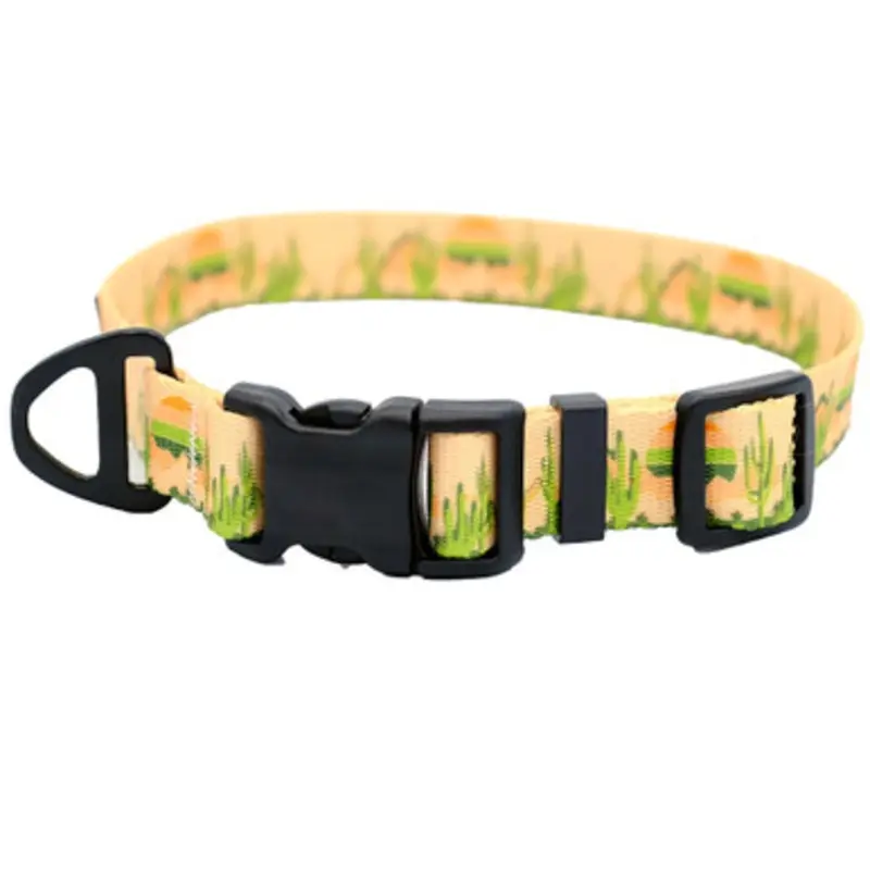 Classy Dog Outdoor Style Cactus Cream Nylon Dog Collar Small