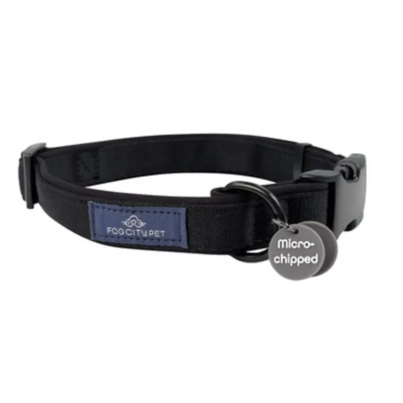Fog City Pet Black Daily Wear Dog Collar Small