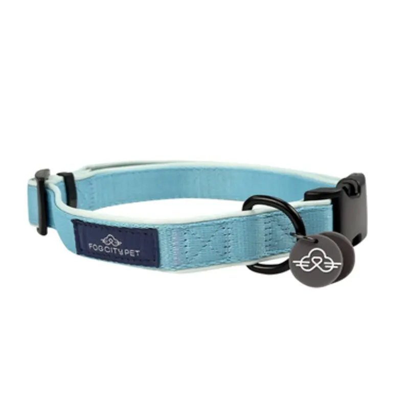 Fog City Pet Light Blue Daily Wear Dog Collar Small