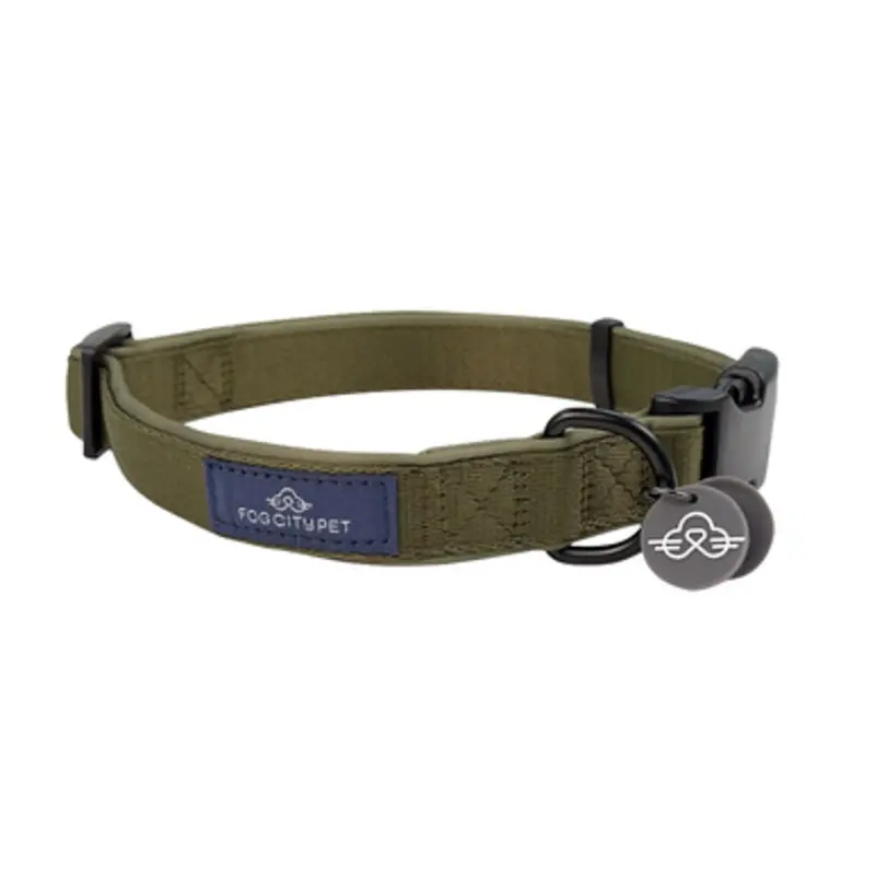 Fog City Pet Sage Green Daily Wear Dog Collar Small