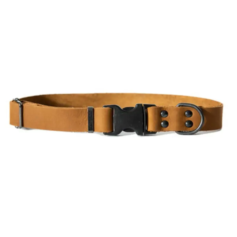 Classy Dog Luxury Sport Style Leather Dog Collar Small