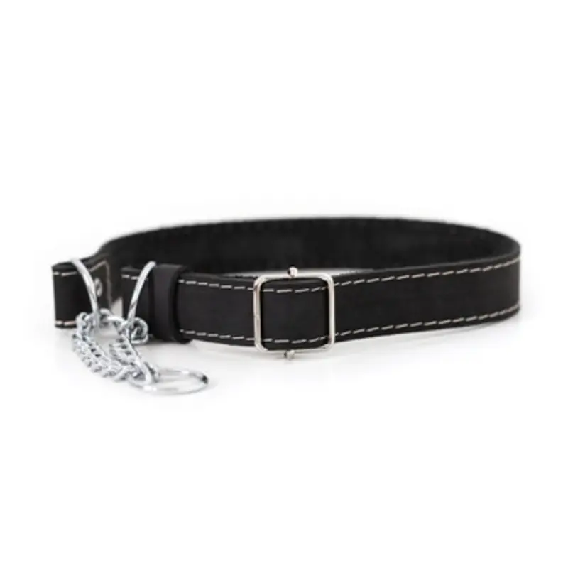 Classy Martingale Style Black Leather Dog Collar Medium