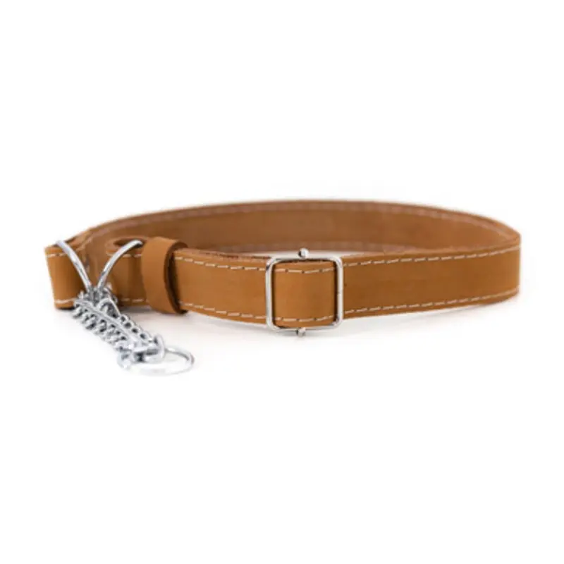 Classy Martingale Style Tan Leather Dog Collar Medium