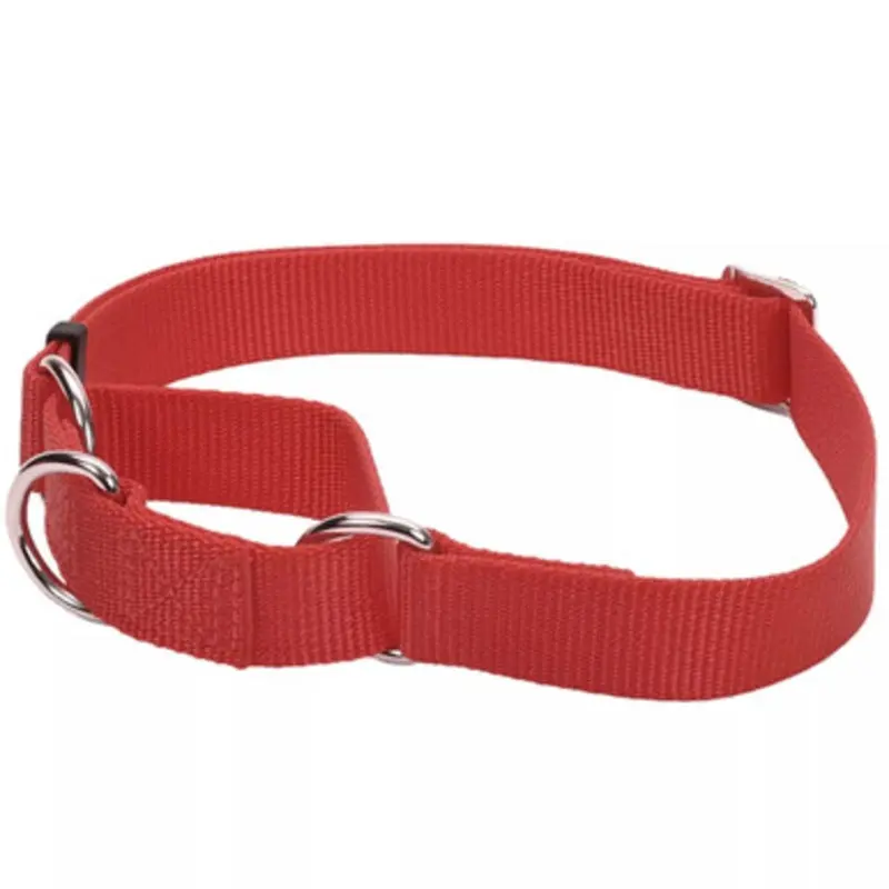 Coastal Pet Red No! Slip Martingale Adjustable Dog Collar Small