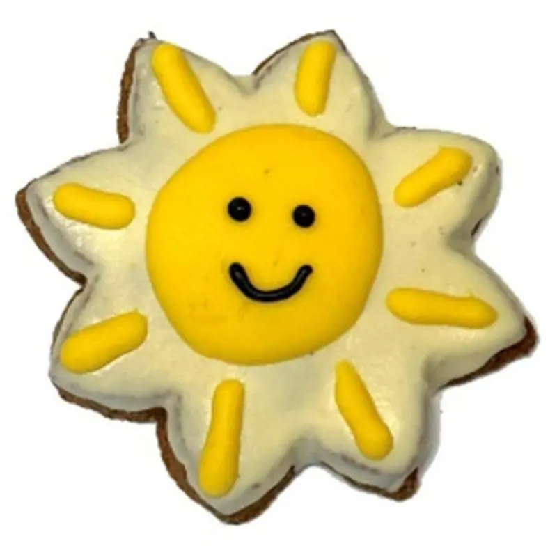 Pawsitively Gourmet Summer Smiling Sun Cookie Dog Treat 1 ct