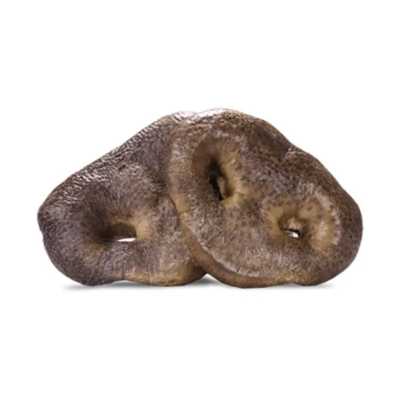 Vital Essentials Raw Bar Pig Snout Freeze-Dried Raw Dog Treat 1 ct