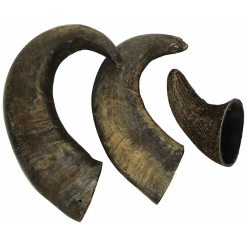 Outback Jack Water Buffalo Bully Horns Small