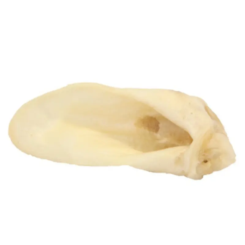 Redbarn Lamb Ear Dog Chew Treat One Size