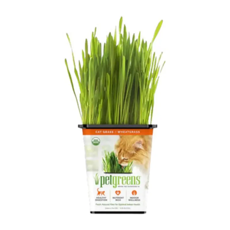 Pet Greens Certified Organic Cat Grass One Size